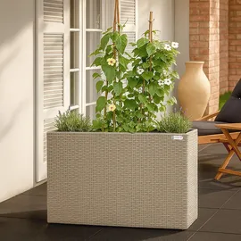 CASARIA Blumenkasten 95 x 27 x 60 cm creme