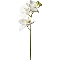 Orchidee ca. 45cm