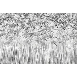 Fototapete PAPERMOON "Photo-Art JEFFLIN LING, PARALLELITÄT", bunt, B:4,00m L:2,60m, Vlies, Tapeten