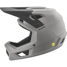 Alpina Pikes MIPS 60-63 cm grau 2026