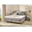 Boxspringbett grau grau 193cm 100 Polyester 100 Polyester Boxspringbett