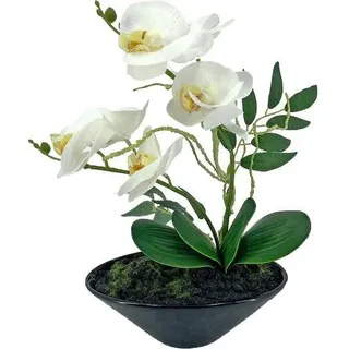 NTK-Collection NTK-Collection, Kunstblume Orchidee in Schale Leilani