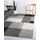 The CarPET Pearl grau, B:240cm H:11mm L:330cm, Polypropylen, Teppiche, Teppich, moderner dichter Wohnzimmer Teppich Konturenschnitt