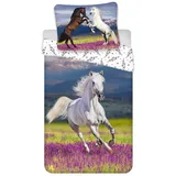 COFI 1453 Pferd Design Kuschelige Bettwäsche Baumwolle, 140x200 cm & 70x90 cm