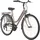 Hollandia City Next 28 Zoll RH 48 cm Damen Flieder