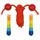 GoKi Springseil Regenbogen 63887