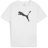 Puma Teamrise Jersey Cotton Jr T-Shirts Puma Weiß-puma Schwarz 164