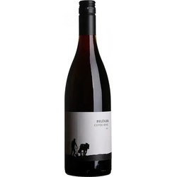 Cuvée Noir Dornfelder & Merlot Weingut Pflüger 2022 BIO