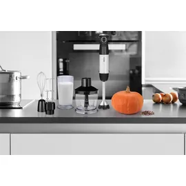 ECG RM 800 Stabmixer