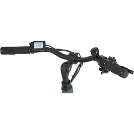 Prophete E-Bike Entdecker 1.8«,