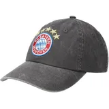FC Bayern Baseballcap Logo Washed grau Einheitsgröße
