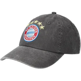 FC Bayern Baseballcap Logo Washed grau Einheitsgröße