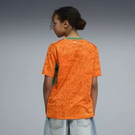 Puma Elfenbeinküste Trainingsshirt 2026 orange Unisex Gr. 140