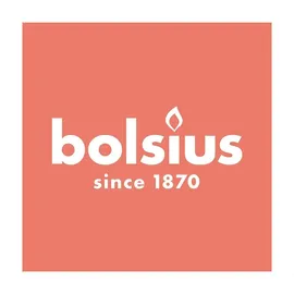 Bolsius Rustik Stumpenkerze 19 x 6.8 cm wolkiges weiß
