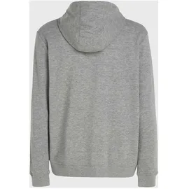 O'Neill Small Logo Full Zip Hoodie Herren Silver Melee XL