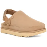 UGG Australia UGG GOLDENSTAR Clog - Beige 38