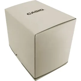 Casio ABL-100WE-1BEF - silver | ONE SIZE