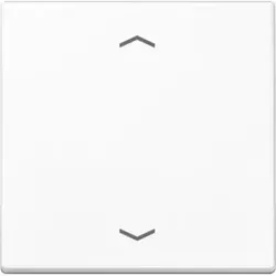 Jung Steuertaste Standard Symbole Pfeile A 1700 P WW
