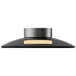 Paul Neuhaus Deckenleuchte PURE Moon grau dimmbar Wohnzimmer Küche