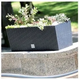 Prosperplast Blumenkasten Rato 60 x 24,5 x 24 cm anthrazit