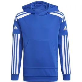 adidas Squadra 21 Hoodie, Kinder Kapuzensweat ROYBLU/WHITE, 116