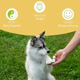 Wolfsbacher Natur Bachblüten Angst 10 g