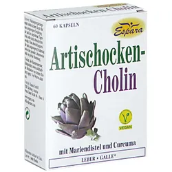 Artischocken Cholin Kapseln