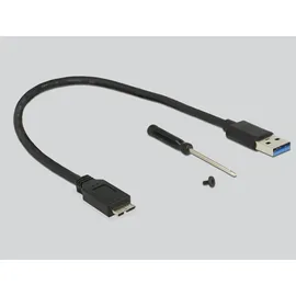 DeLock - M.2 Key B 42 mm SSD USB 3.0
