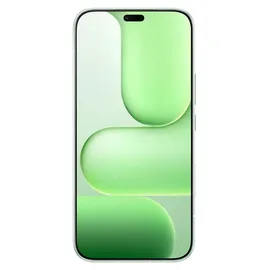 Honor 600 Lite 8 GB RAM 256 GB Sprout Grün