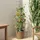 vidaXL Tomatenanbauer Naturo ECO Ø 39 x 139 cm braun