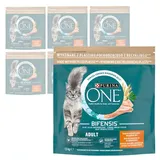 Purina One Bifensis Adult 6x1,5kg Trockenfutter für Katzen mit Hähnchen