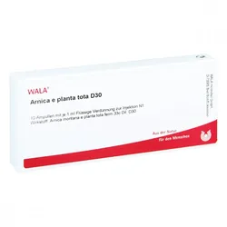 Arnica E Planta tota D30 Ampullen