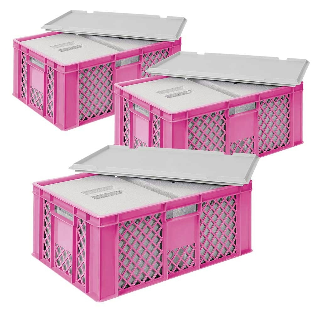 3x 2 EPS Thermobox in Stapelkorb mit Deckel, LxBxH 600x400x240 mm, pink