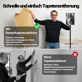 Wiltec Dampf Tapetenablöser 2200 W, Tapetenlöser mit 4,5 L Behälter und 70 min Laufzeit, chemieloser und robuster Tapetenentferner