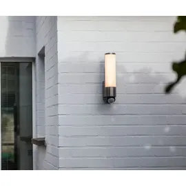 Lutec LED-Außenwandleuchte LEDA Alu, Eisen, Stahl & Metall