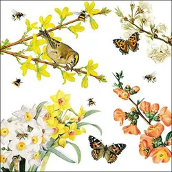 20 Servietten Papier 33x33cm 3-lagig - hochwertige Einweg Papierservietten Frühlingsdeko Ostern Gartenparty Bienen Blumen Vögel