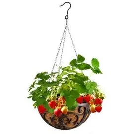 Dehner Gusseisen-Hängeampel Katalonien mit Kokoseinlage Ø 30 x 18 cm braun