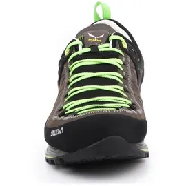 Salewa Herren MTN Trainer 2 L Schuhe (Größe 42, gruen)