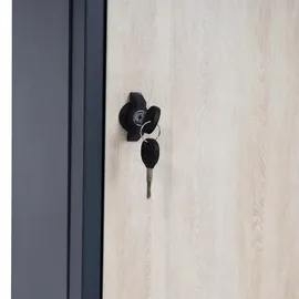 Mendler Paketkasten HWC-G80, Paketbox Standbriefkasten Paketbriefkasten Größe XL ~ verzinkt anthrazit, Holzoptik hell
