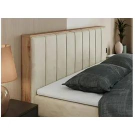 MKS Bellissimo King 140 x 200 cm H3 Beige