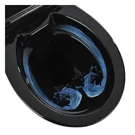 vidaXL Hohe Spülrandlose Toilette Soft-Close 7cm Höher Keramik Schwarz