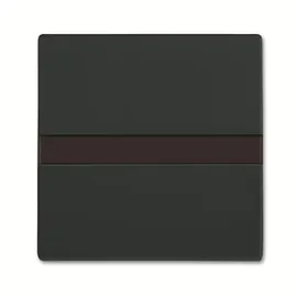 Busch-Jaeger 64765-81