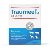 Heel TRAUMEEL LT ad us.vet.Ampullen 5X5 ml