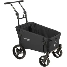 Beach Wagon Company Bollerwagen Faltbollerwagen Push bunt