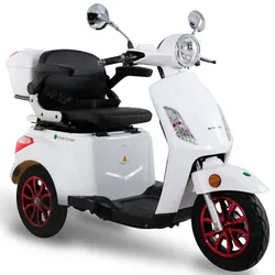 GREENSTREET Elektromobil »E-Mover«, max. 25 km/h, Reichweite: 50 km, weiß - weiss