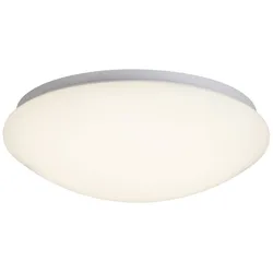 BRILLIANT Lampe Fakir LED Wand- und Deckenleuchte 30cm weiß/warmweiß   1x 12W LED integriert, (800lm, 3000K)   Energiesparend und langlebig durch LED-Einsatz