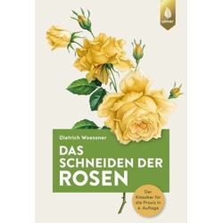 Das Schneiden der Rosen