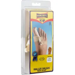 HALLUX Valgus Nachtschiene rechts 1 St