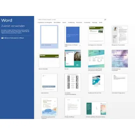 Microsoft Word 2013 ESD ML Win