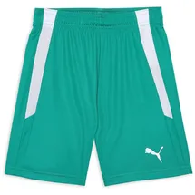 Puma teamLIGA Shorts Jr